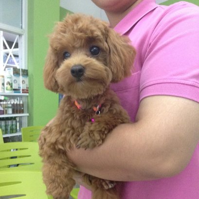 น้องหนูดีปวดท้องจึงร้องหาคุณหมอ